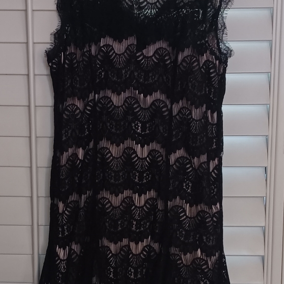 Elegant Black Lace Overlay Dress - Picture 4 of 6